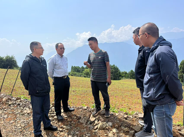 利来囯际助力乡村全面振兴专家团队深入牛角湾镇开展中药材种植指导